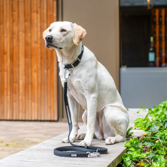 【DOG Copenhagen】丹麥犬Urban Classic Leash 多功能防水牽繩(多色可選)