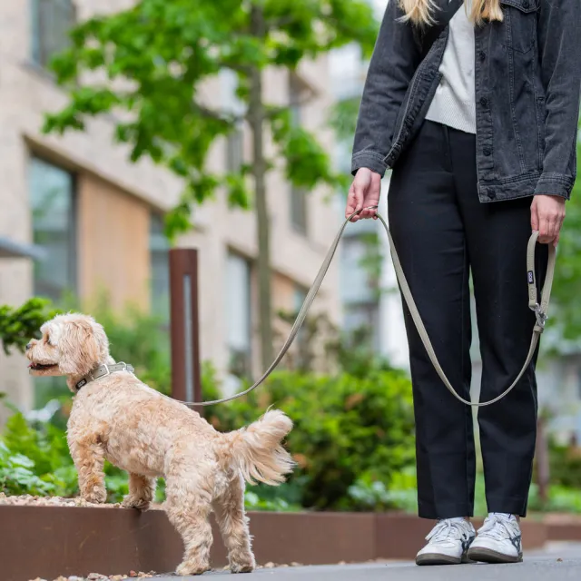 【DOG Copenhagen】丹麥犬Urban Classic Leash 多功能防水牽繩(多色可選)