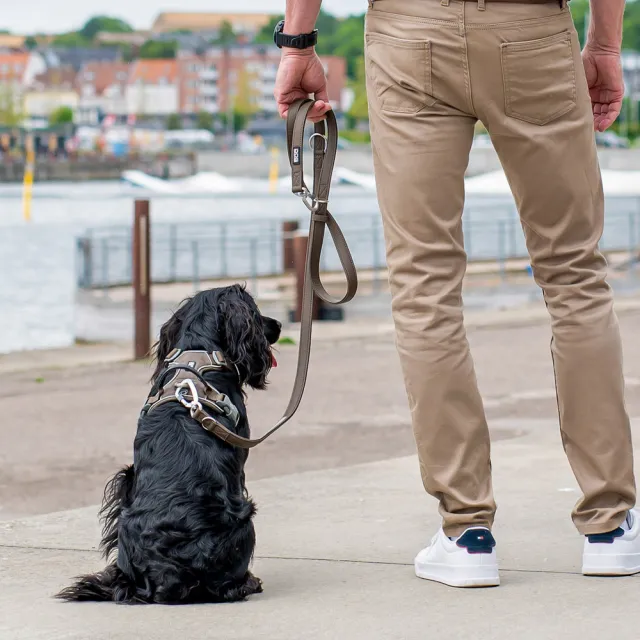 【DOG Copenhagen】丹麥犬Urban Classic Leash 多功能防水牽繩(多色可選)