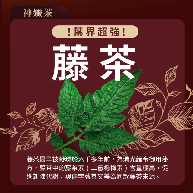 【EatBLISS 益比喜】善又美代謝神孅茶3入組(10包/盒 藤茶.陳皮.山楂.幫助消化.促進代謝.排便順暢)