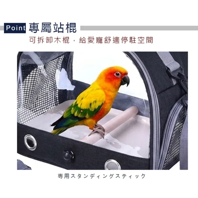 【Truly House】外出透明透氣手提包 黑色 養鳥 提籠 鳥類包 寵物包 鸚鵡