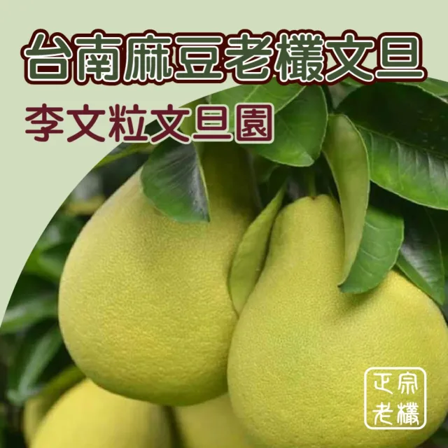 【黑貓嚴選】《李文粒果園》麻豆文旦3kg(7-9入/箱 60年老欉 產地直送 中秋 柚子 禮盒)