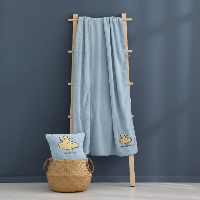 【HOYACASA  禾雅寢具】史努比聯名系列-兩用刺繡抱枕吸水浴巾組-胡士托款