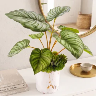 【HUGO DECO 榆果傢飾】特級擬真青蘋果竹芋葉盆栽(擬真植物/禮物/綠化/永不凋零/佈置/觀葉植物)