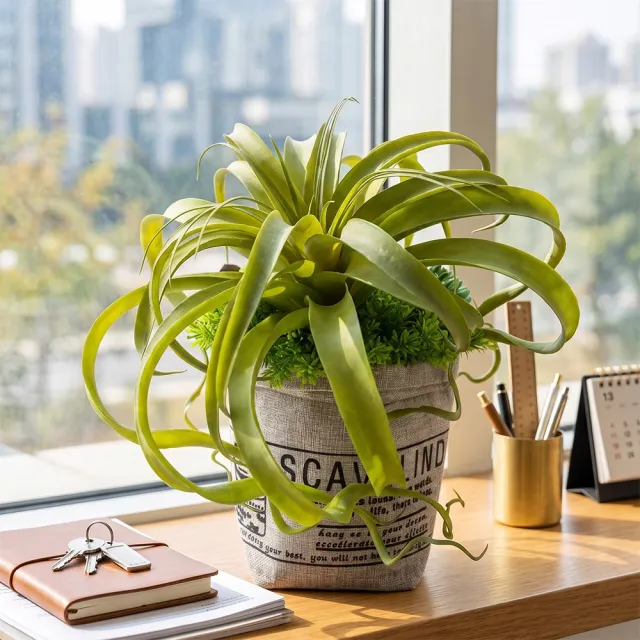 【HUGO DECO 榆果傢飾】城市綠意工業風布紋袋擬真空氣鳳梨(擬真植物/禮物/綠化/永不凋零/佈置/觀葉植物)
