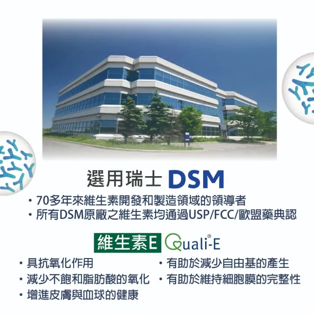 【愛善那】美國專利80% DHA藻油素食軟膠囊60粒/瓶(市售最高濃度DHA高達80% rTG型式好吸收)