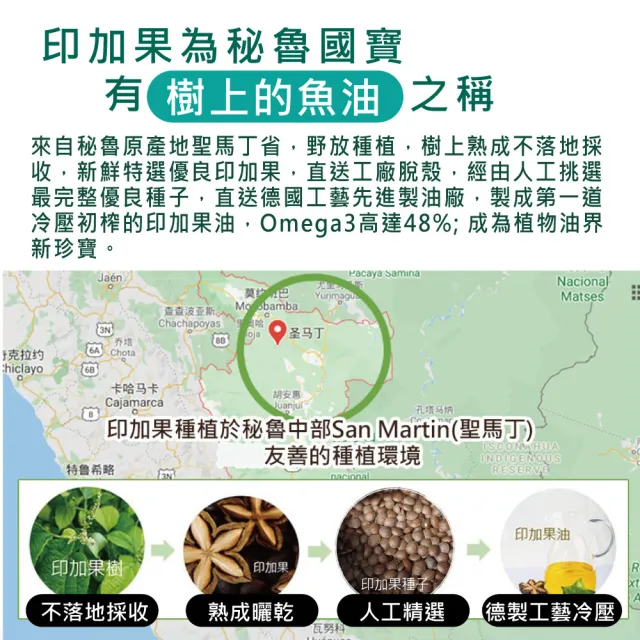 【愛善那】美國專利80% DHA藻油素食軟膠囊x6 共360粒(市售最高濃度DHA高達80% rTG型式好吸收)