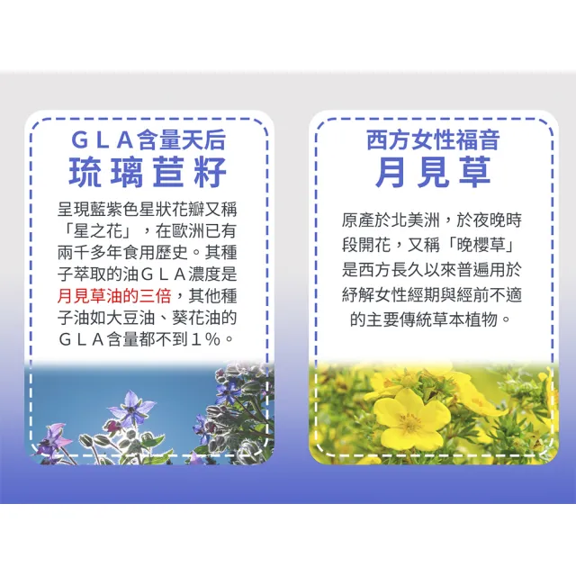 即期品【Candice 康迪斯】買一送一 天然琉璃苣油膠囊(60顆/瓶)