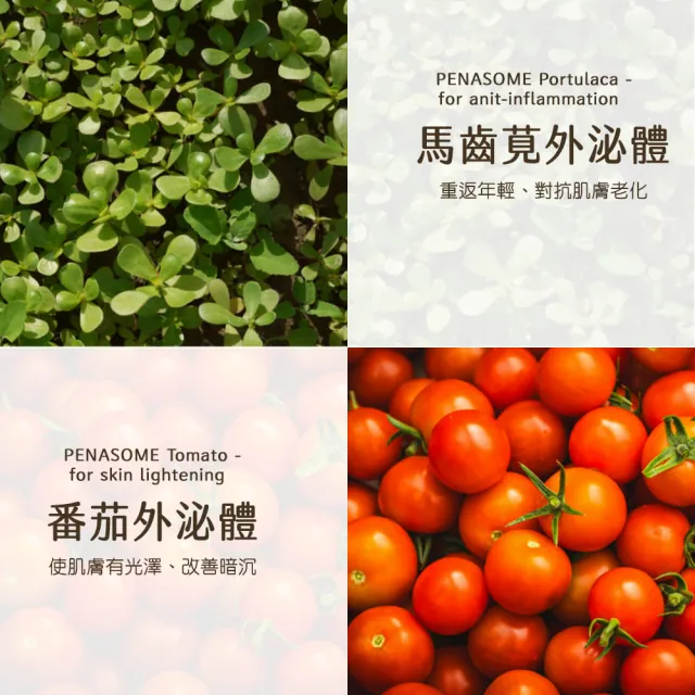 【Dr.future 長泰】金燦緊緻皂單入組(100g/顆)