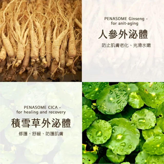 【Dr.future 長泰】金燦緊緻皂單入組(100g/顆)