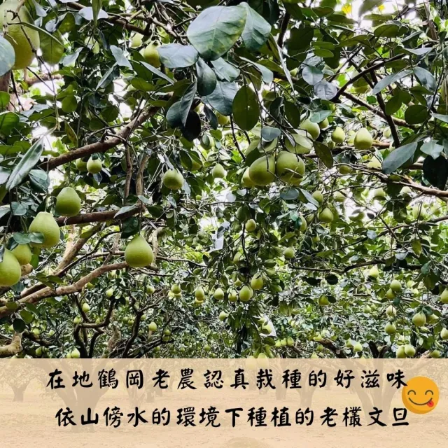 花蓮鶴岡60年老欉惜福醜皮文旦20斤/箱(惜福文旦無指定粒數大小_惜福不浪費一樣很對味)