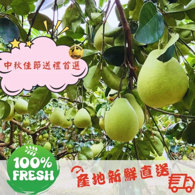 花蓮鶴岡60年老欉惜福醜皮文旦20斤/箱(惜福文旦無指定粒數大小_惜福不浪費一樣很對味)