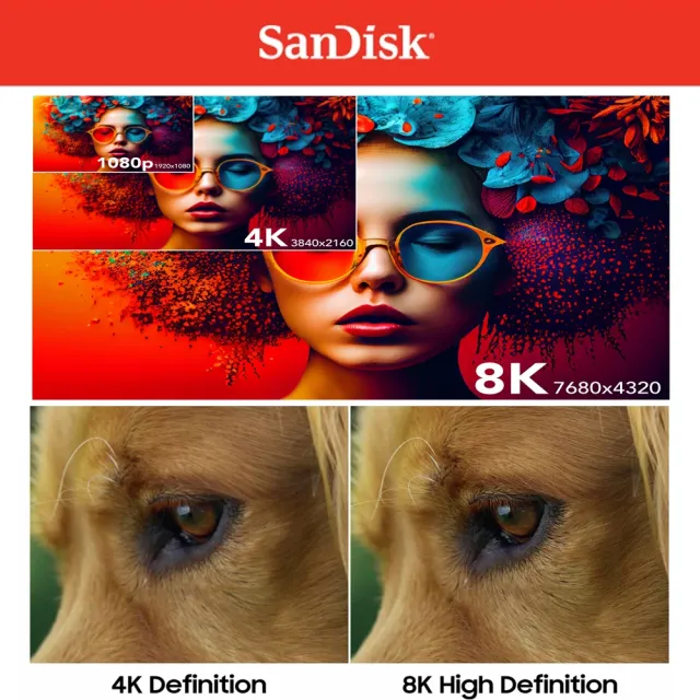 【SanDisk 晟碟】[全新版 再升級] 128GB Extreme PRO SDXC UHS II 記憶卡 280MB/s(專業攝影 原廠永久保固)