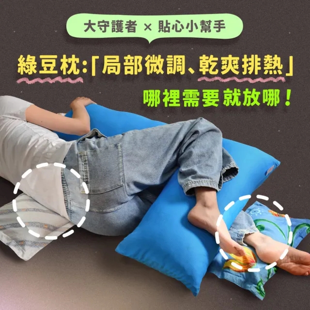 【Embrace 英柏絲】L型枕＋小枕 雙件組｜特涼款 綠豆枕 老人看護翻身枕 擺位枕 側睡抱枕 台灣製