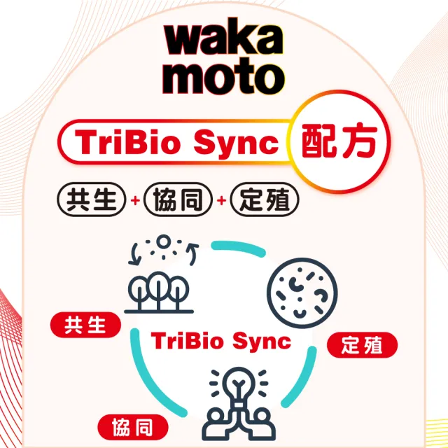 【Wakamoto 若元】若元益生菌 三瓶組(220錠/瓶_食品、獨家高活性WB菌、使排便順暢、日本原裝)