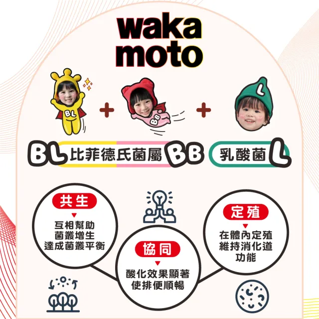 【Wakamoto 若元】若元益生菌 五瓶組(220錠/瓶_食品、獨家高活性WB菌、使排便順暢、日本原裝)