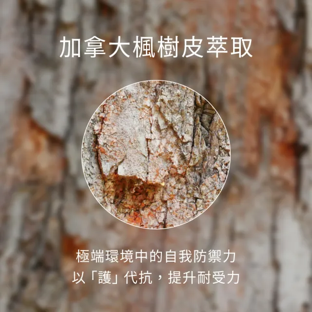 【greenvines 綠藤生機】追根究柢養髮精華100ml(100% 天然來源的實證配方)