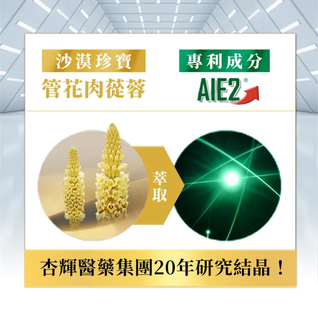 【杏輝醫藥】蓉憶記膠囊 國家健康食品 5入組(共150粒-唐從聖 專利成分AIE2 延緩衰老 思緒保養 銀髮保健)