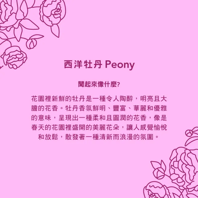 【Mrs.Meyers 梅耶夫人】西洋牡丹香氛洗手乳x1+補充瓶x2(粉香 柔花 花瓣水韻 柔甜花霧)