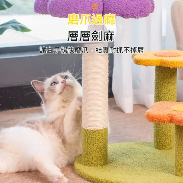 【Quality 聚家】貓爬架 實木貓抓柱 貓跳台 40*40*48cm 貓咪玩具 花朵貓爬架 耐抓不掉屑