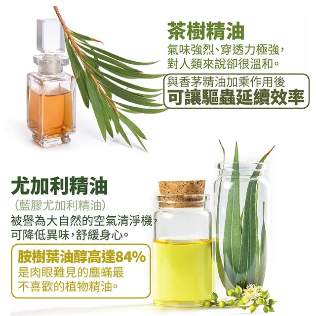 【古寶無患子】小強掰掰-居家萬用清潔劑4入組(噴瓶500gX1入+補充瓶500gX3入)