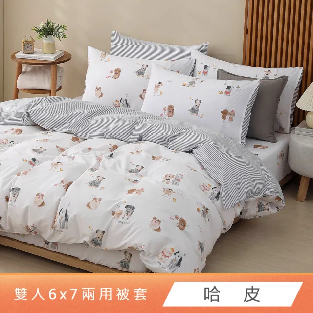 【HongYew 鴻宇】台灣製100%精梳棉 兩用被套 雙人(多款)