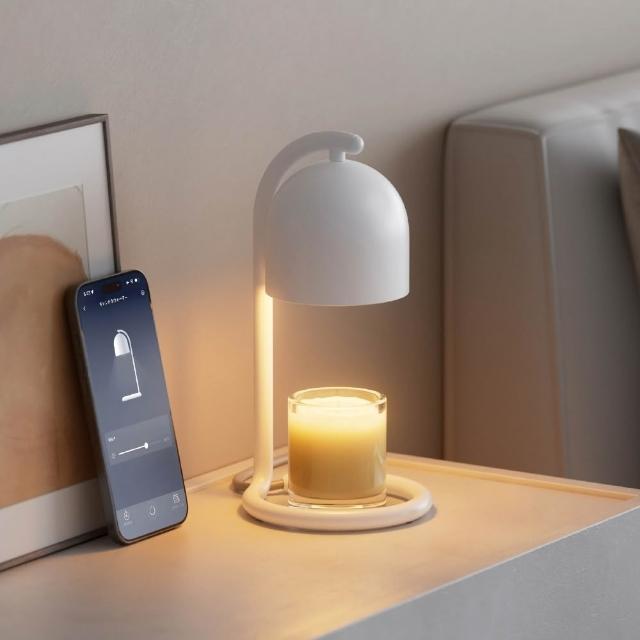 (兩入組)【TP-Link】智慧插座 遠端控制 過載保護 安全認證 電力監控 支援Matter(Tapo P110M)