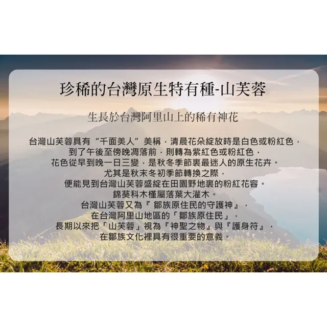 【IDELY 艾得利】山芙蓉高純度天然草本修護凝膠ExPlus 50g x2罐(升級版 滋潤/柔嫩/舒緩/保護/防護)