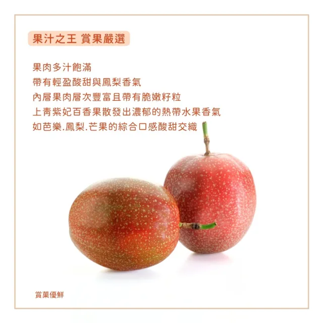 【賞菓優鮮】埔里大坪頂上青紫妃百香果精美禮盒1盒(28-40粒/2公斤)(新貴品種_產地現採直送)