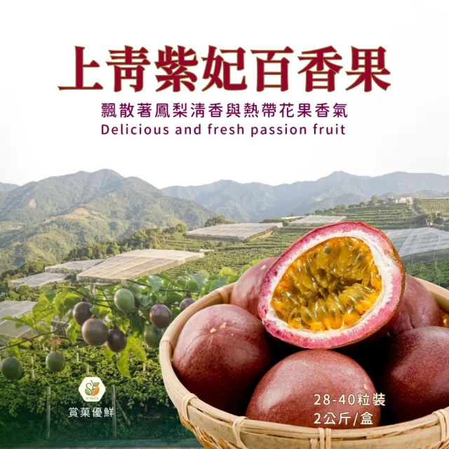 【賞菓優鮮】埔里大坪頂上青紫妃百香果精美禮盒1盒(28-40粒/2公斤)(新貴品種_產地現採直送)