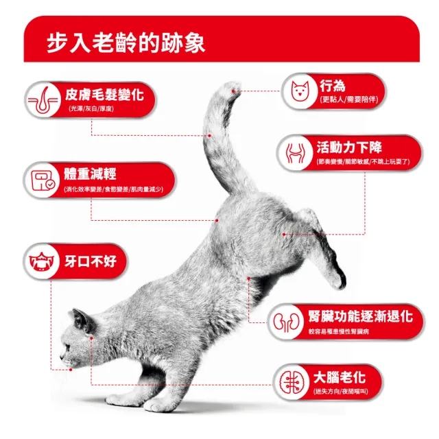 【ROYAL 法國皇家】老貓11+歲專用乾糧A30+11 2KGX2 (貓飼料 老齡貓 低脂保養 腎臟健康)