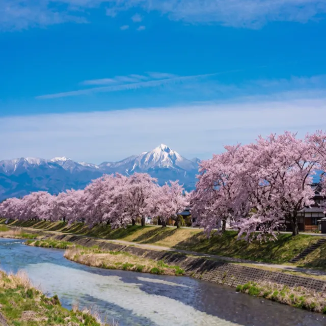 【喜鴻假期】★高雄出發．東北春櫻賞５日★三春瀧櫻、大內宿合掌村、會津鐵道、地底宮殿