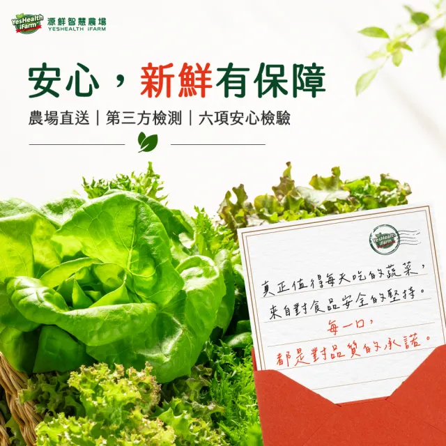 【源鮮智慧農場】超級綠鑽羽衣甘藍箱200g x 3盒(羽衣甘藍｜生菜沙拉｜水耕生菜)