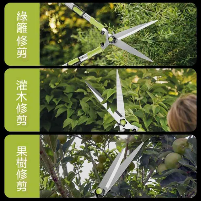 【MatsuTa 松太】園藝粗枝大剪刀 園林綠化修枝剪 盆栽花木除草修葉專用剪 家用庭院果樹修剪工具
