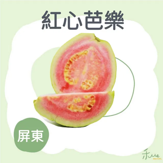 【禾ME】屏東紅心芭樂王5斤(6-12顆)雙十一組合