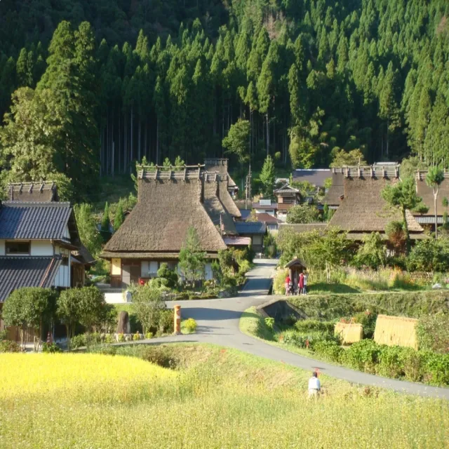【喜鴻假期】★感蟹特賣關西５日★美山合掌村、嵐山竹林、宇治抹茶、達摩勝尾寺、錦市場、螃蟹吃到飽
