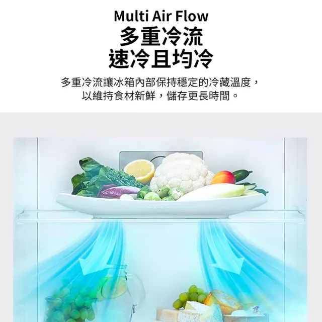 【LG 樂金】家電快配375公升智慧變頻右開雙門冰箱(GN-L372BEN)