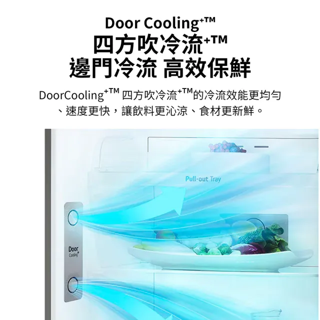 【LG 樂金】家電快配375公升智慧變頻右開雙門冰箱(GN-L372BEN)