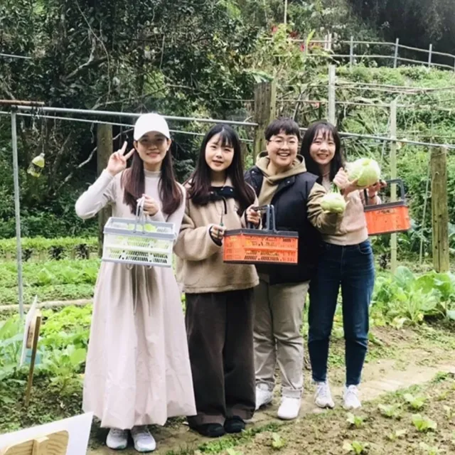 【苗栗桃樂絲露營區】2大2小入住小資鐘型帳★贈送活力早餐(全網最低優惠!限量組數!)
