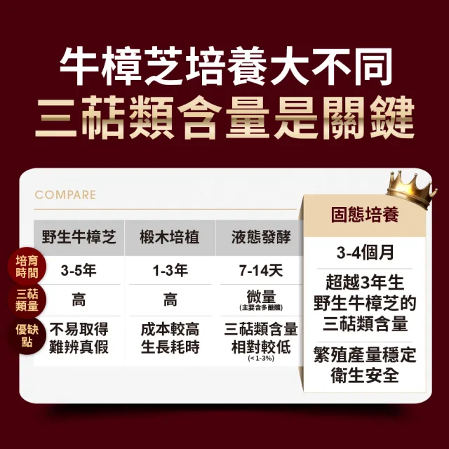 【EatBLISS 益比喜】健字號 就甘清牛樟芝菌絲膠囊(30入/盒 護肝 增強體力 提振精神)