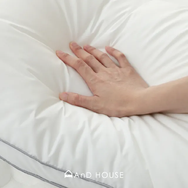 【AnD HOUSE 安庭家居】水洗抗菌立體枕一入(枕頭/可水洗/蓬鬆/防螨抗菌)