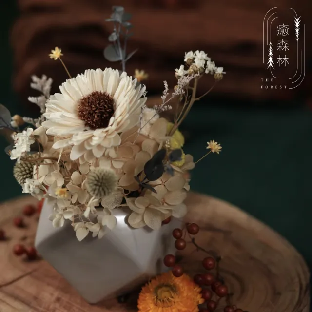 【The Forest 癒森林】巴黎忘憂森林擴香花禮贈5ml香氛油(永生花/盆花/送禮自用/開幕升遷生日/居家擺飾)