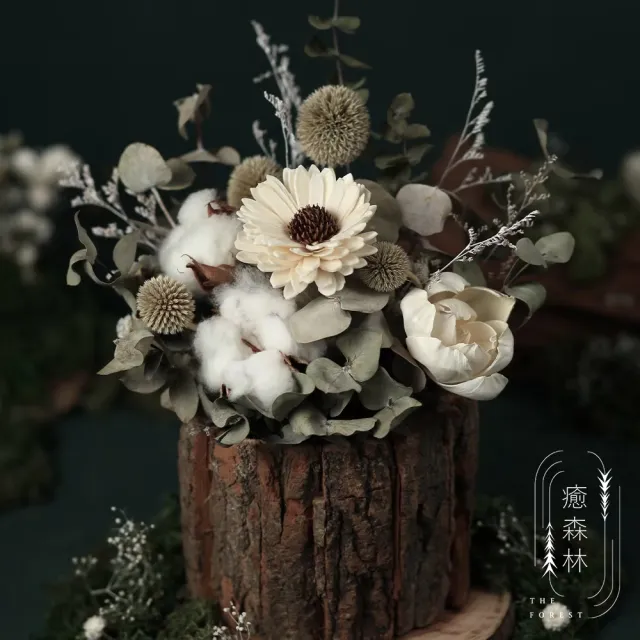 【The Forest 癒森林】北歐挪威迷霧森林擴香花禮贈5ml香氛油(永生花/盆花/送禮自用/開幕升遷生日/居家擺飾)