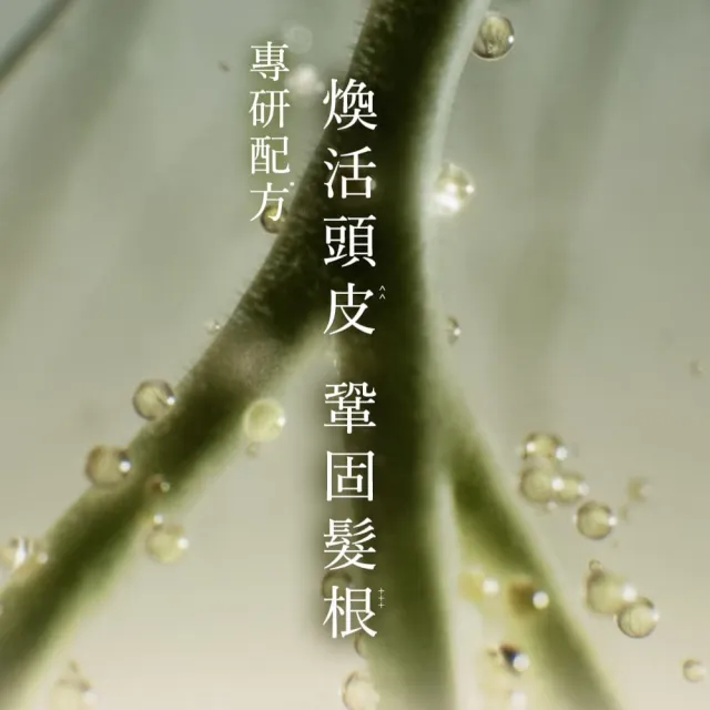 【Hair Recipe】髮的食譜 混搭任選組 全新!洗髮精/潤髮乳510gx3(控油x防斷x強韌)