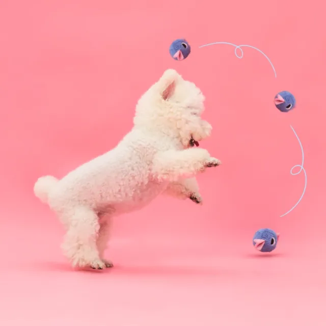 【尾巴向上】小糖狗小型犬玩具(藍色) 寵物陪伴 紓壓解悶 寵物玩具 發聲玩具