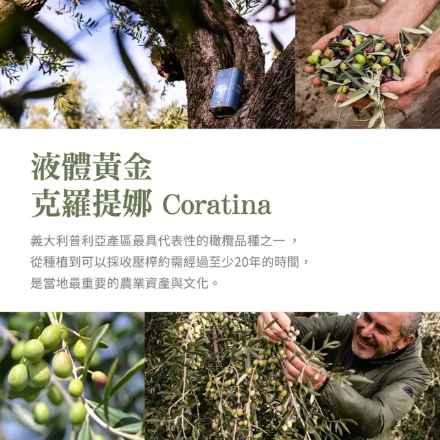 【Terra Del Tuono 雷霆之地】巴薩米克醋-春天紫標250ml+白色金標100ml+特級初榨橄欖油 (雙11限定/油醋醬)