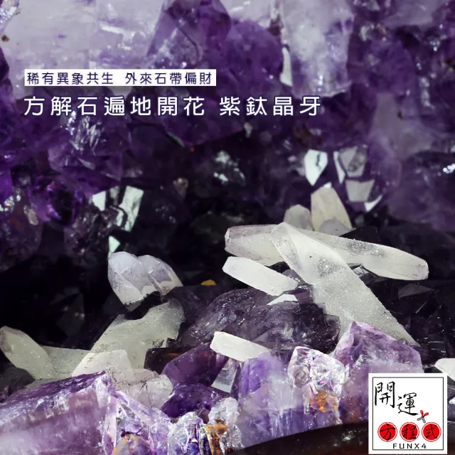 【開運方程式】巴西紫晶洞紫水晶洞權杖方解石片地晶花JU475(17.5kg招財風水開運擺設)