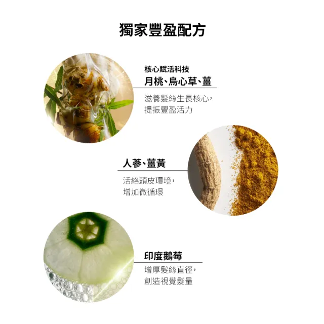【AVEDA】蘊活煥欣潤髮乳200ml(頭皮護理 立即提升視覺髮量)_馥郁版 新登場