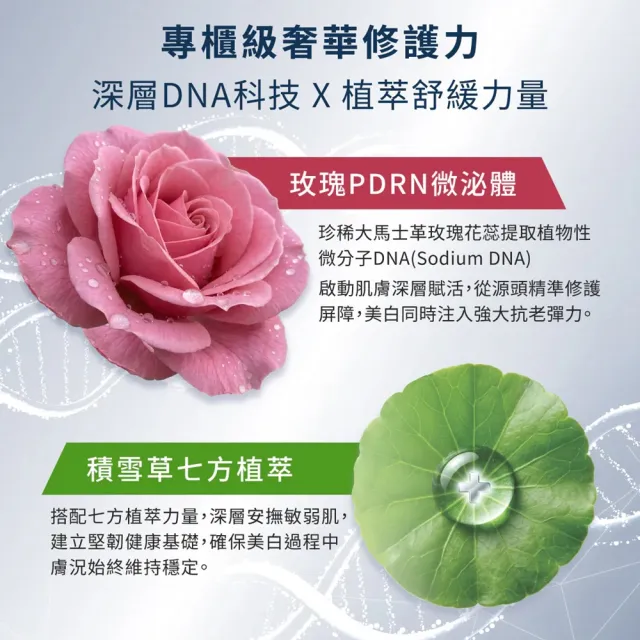 【Dermacurel 德美凱】極緻C美白緊緻精華 30ml