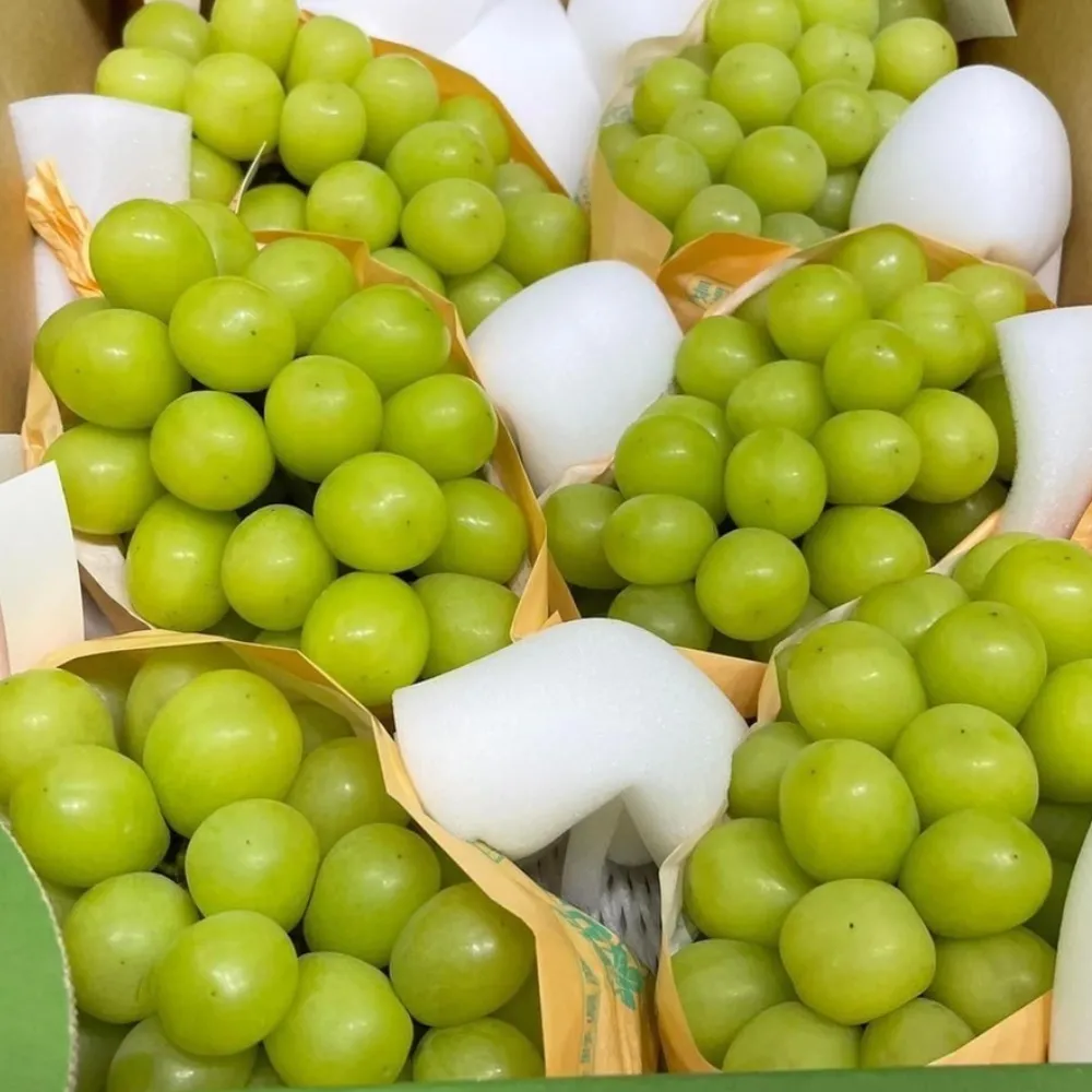 【RealShop】日本超大串空運麝香葡萄1.5kg±10%x1盒(2房裝 水果禮盒 中秋送禮)